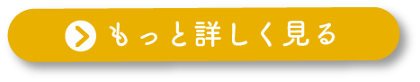 もっと詳しく見る